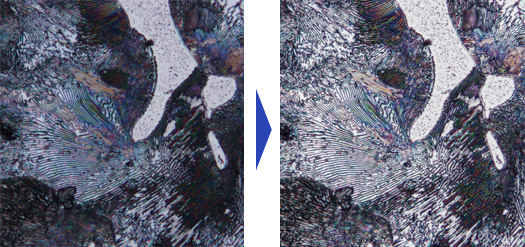 無論是暗視場影像還是DIC影像，“HDR”都可以一鍵完成清晰觀察。