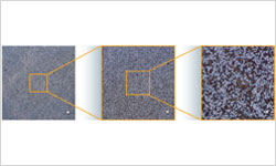 實(shí)現(xiàn)無縫倍率轉(zhuǎn)換